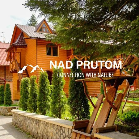 Садиба Nad Prutom Jaremtsje Buitenkant foto