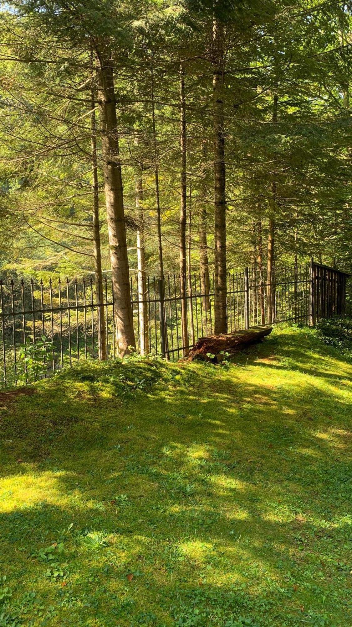 Садиба Nad Prutom Jaremtsje Buitenkant foto