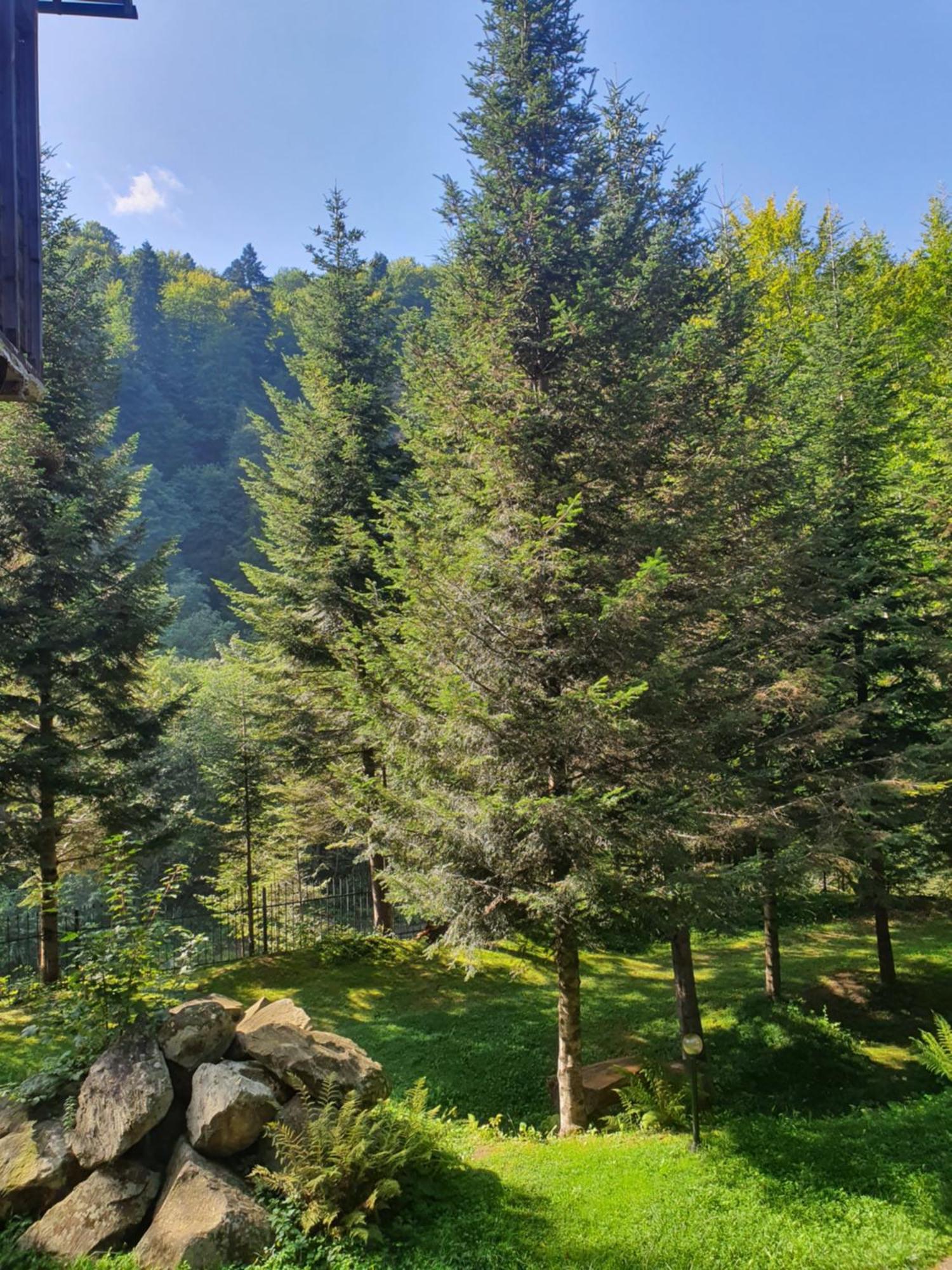 Садиба Nad Prutom Jaremtsje Buitenkant foto