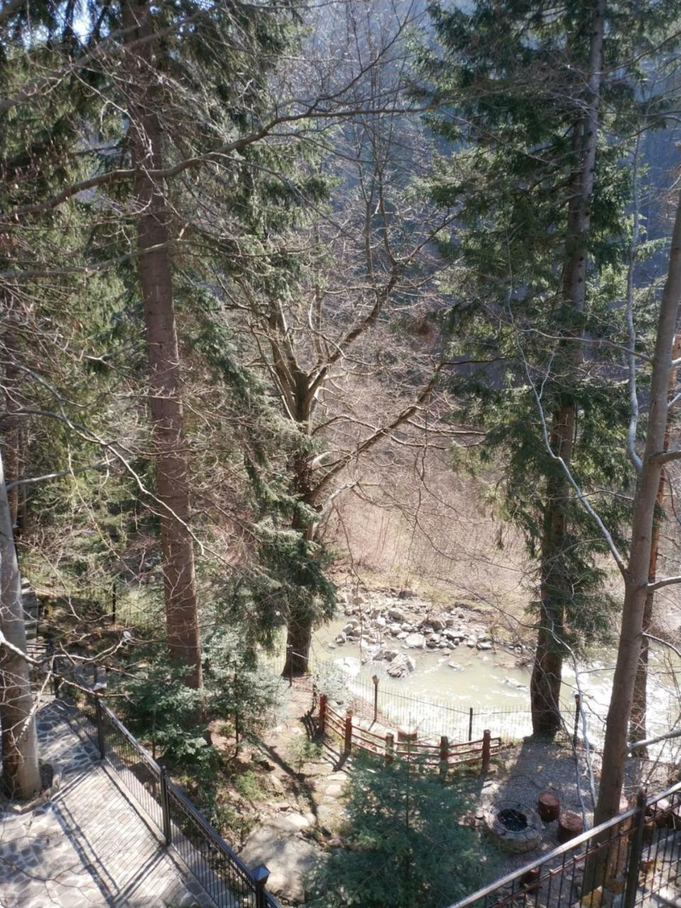 Садиба Nad Prutom Jaremtsje Buitenkant foto