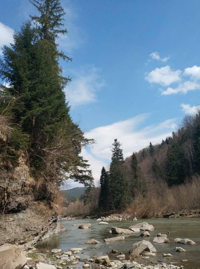 Садиба Nad Prutom Jaremtsje Buitenkant foto